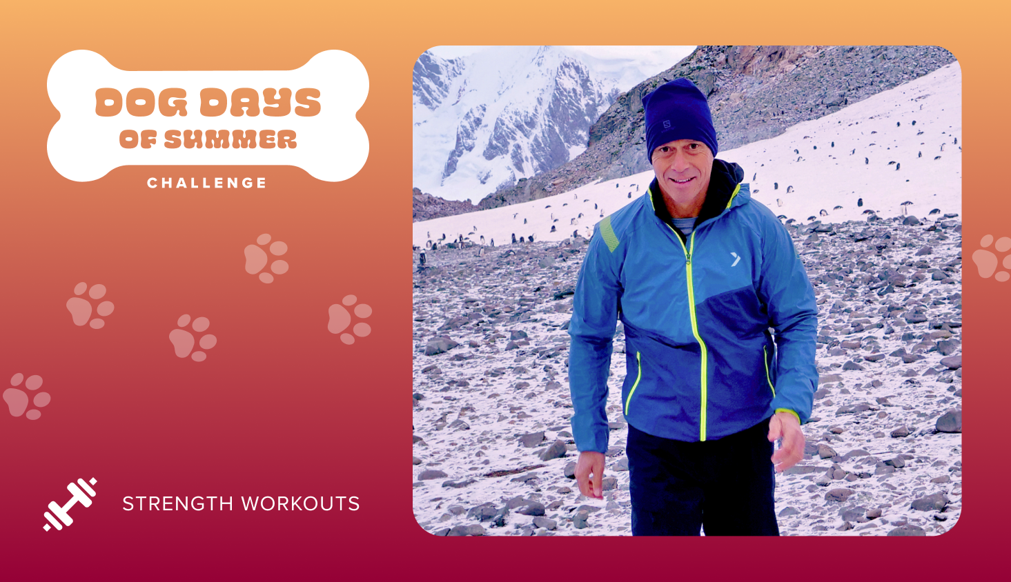 Dog Days of Summer Strength Challenge