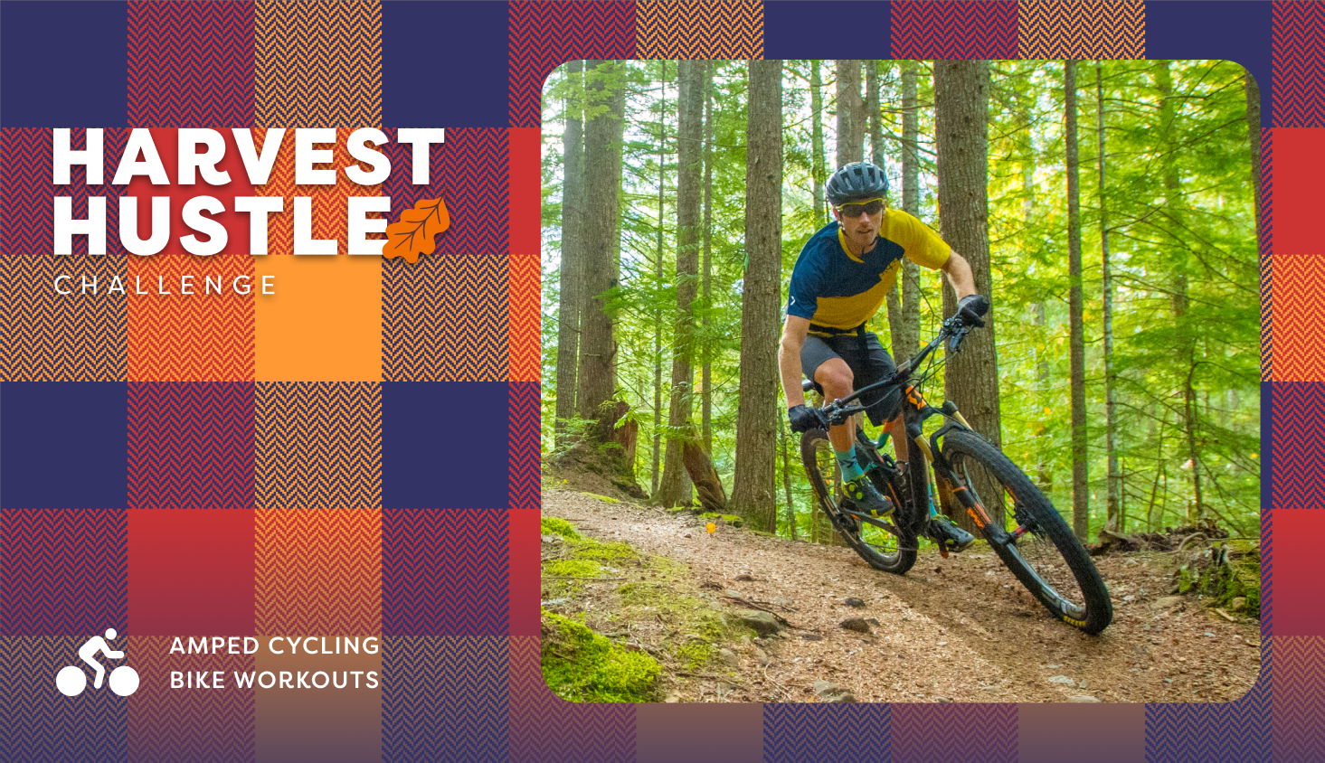 Harvest Hustle Amped Cycling Challenge