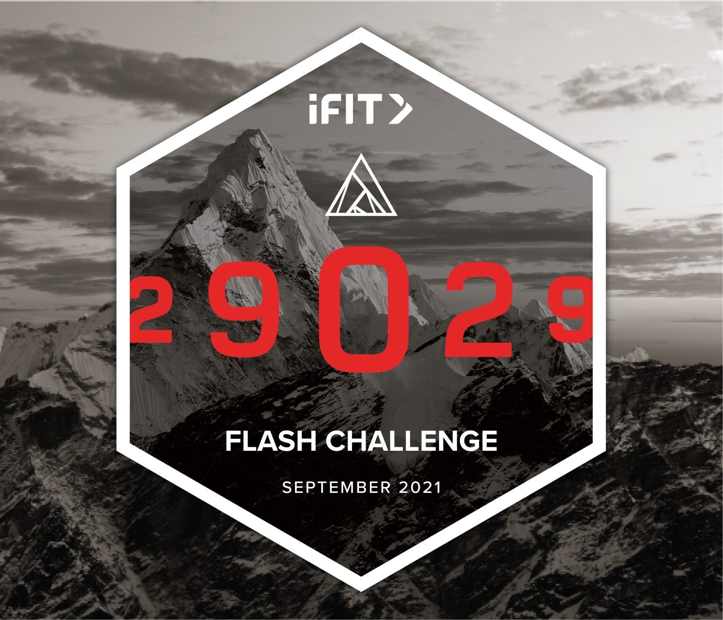 29029 Flash Challenge The 29029 Flash Challenge