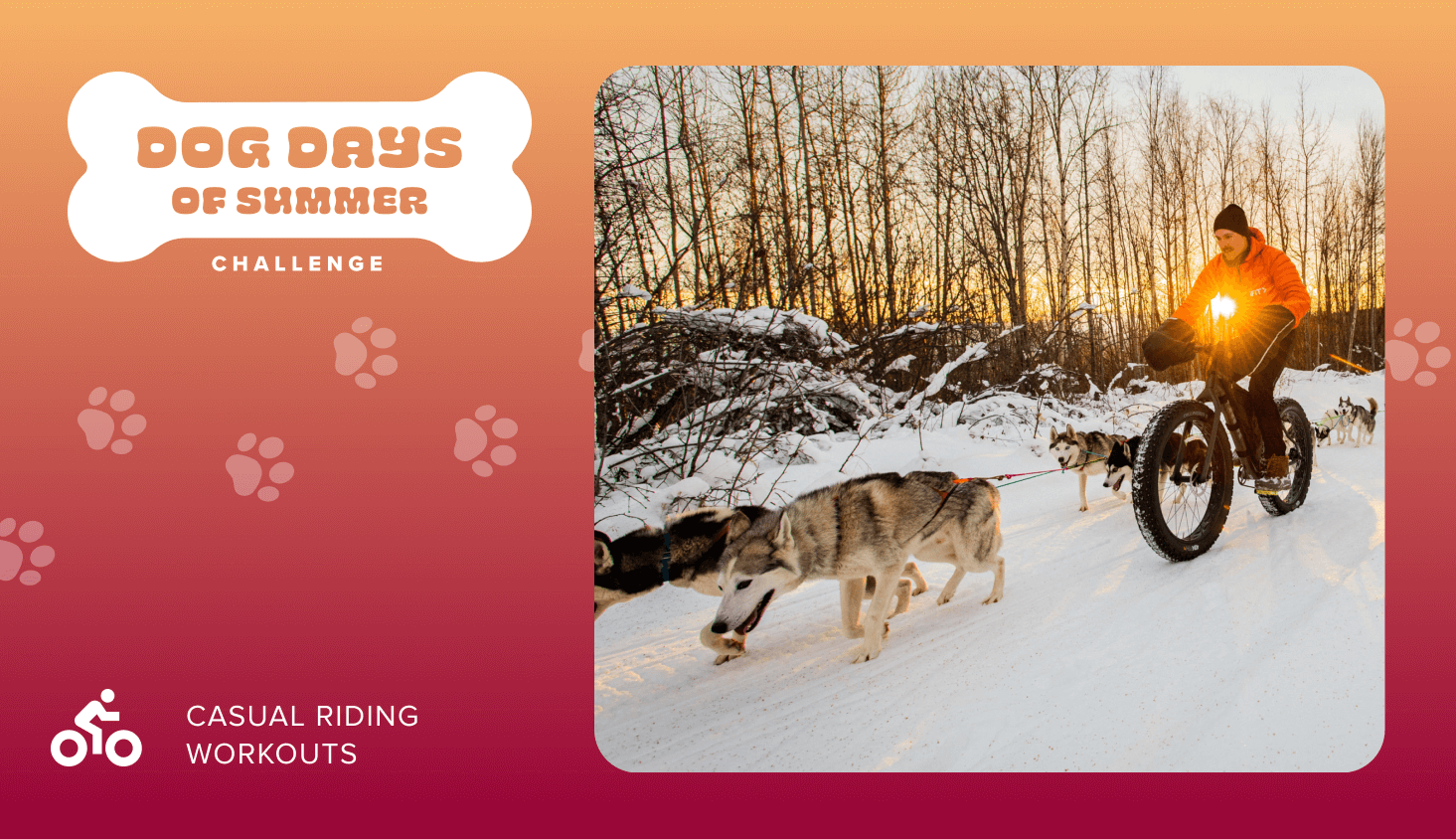 Dog Days of Summer Casual Riding Challenge