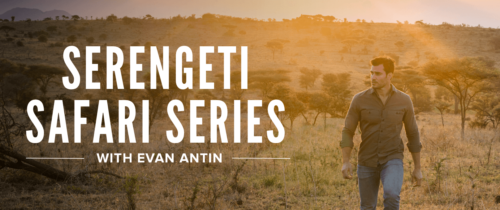 iFit Serengeti Safari Series with Evan Antin walking classes iFit Serengeti Safari Series with Evan Antin walking workouts