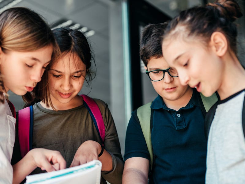 Mehrere Schüler lernen gemeinsam