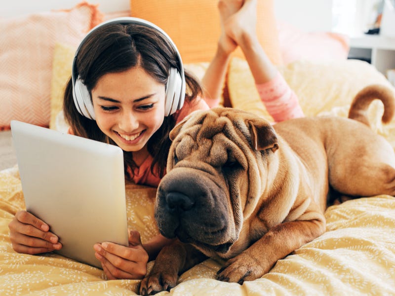 Ein Mädchen liegt mit einem Hund auf dem Bett und schaut auf ihr Tablet.