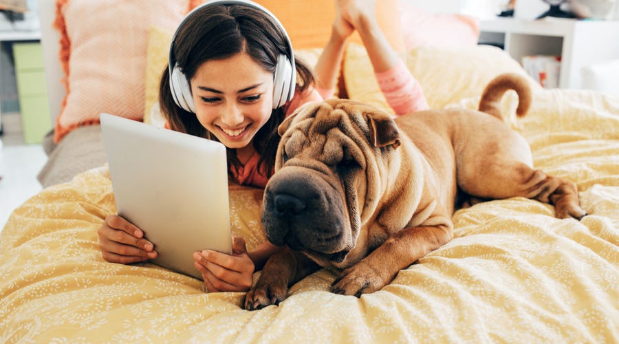 Ein Mädchen liegt mit einem Hund auf dem Bett und schaut auf ihr Tablet.