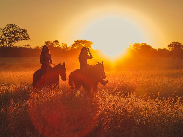 Zwei Reiterinnen sind im Sprachcamp und unternehmen einen Ausritt im Sonnenuntergang.