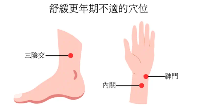 舒緩更年期不適穴位