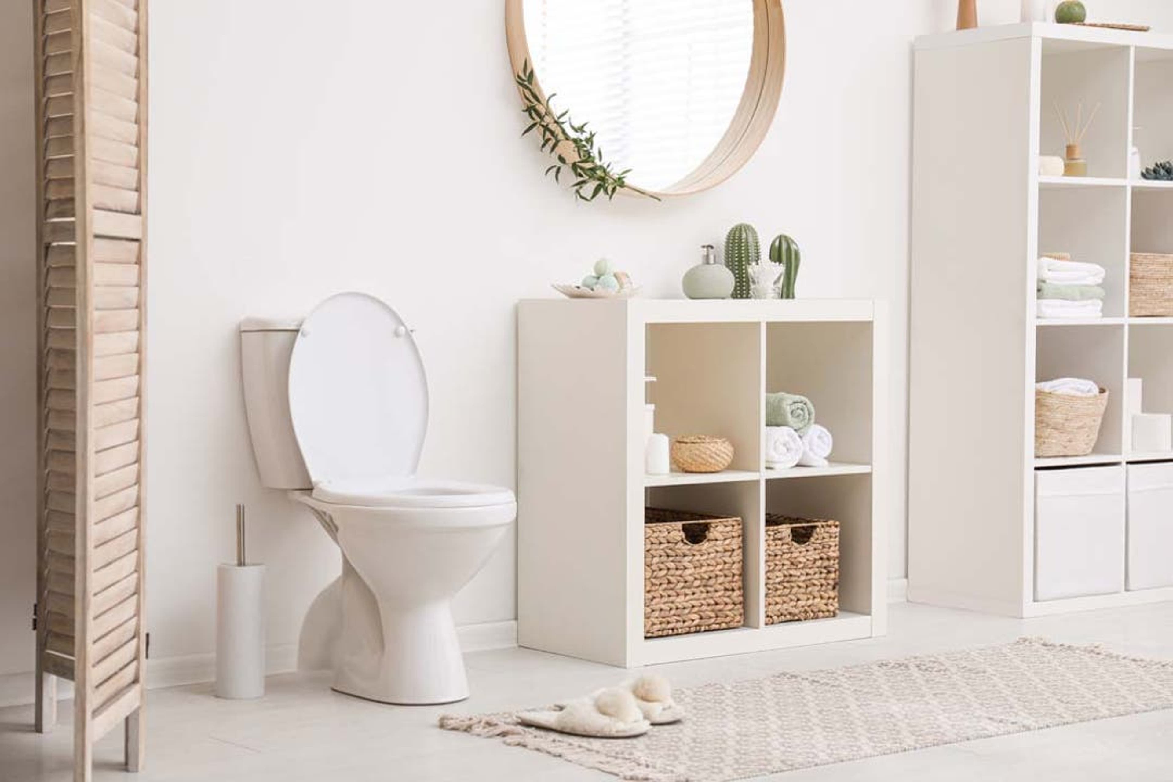 toilet