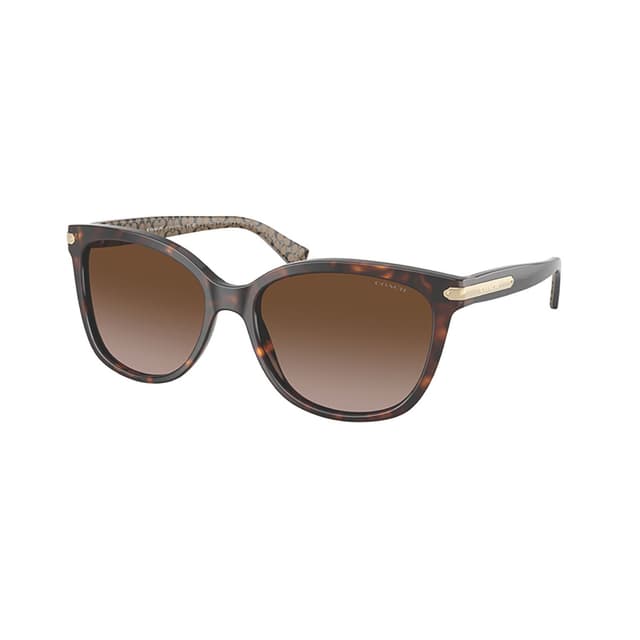 COACH HC8132 DARK TORTOISE/DARK BROWN GRADIENT