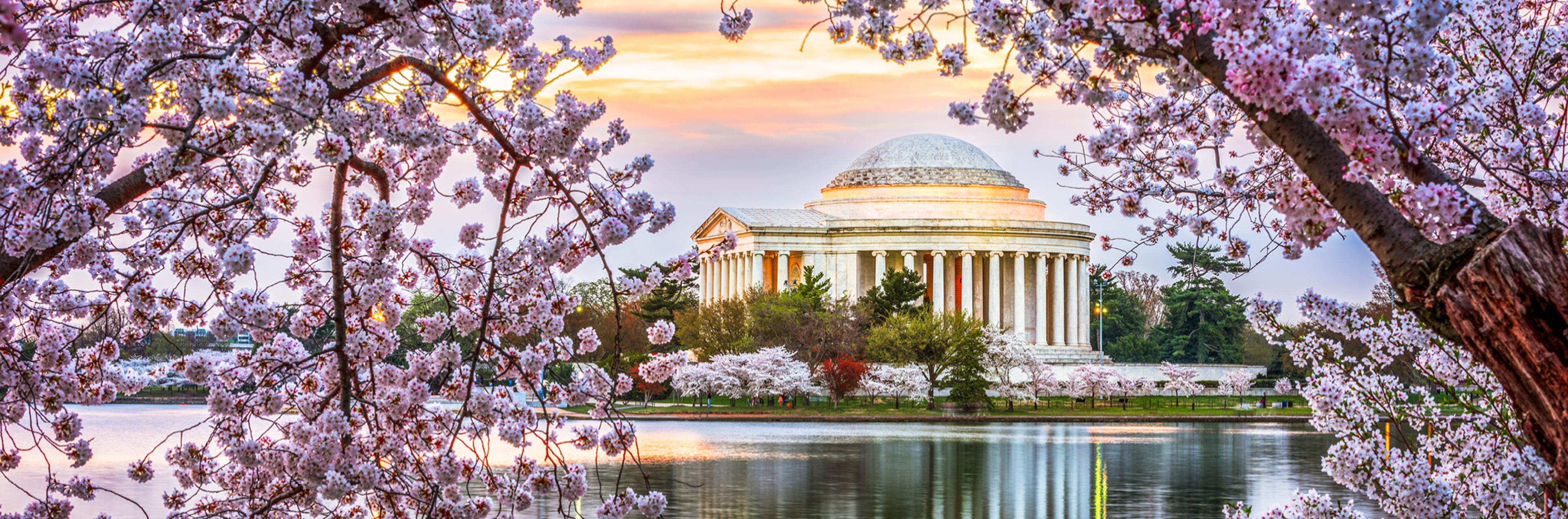 Washington, DC, Lake and Pink Trees
