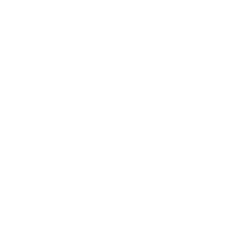 Bonfy.ai