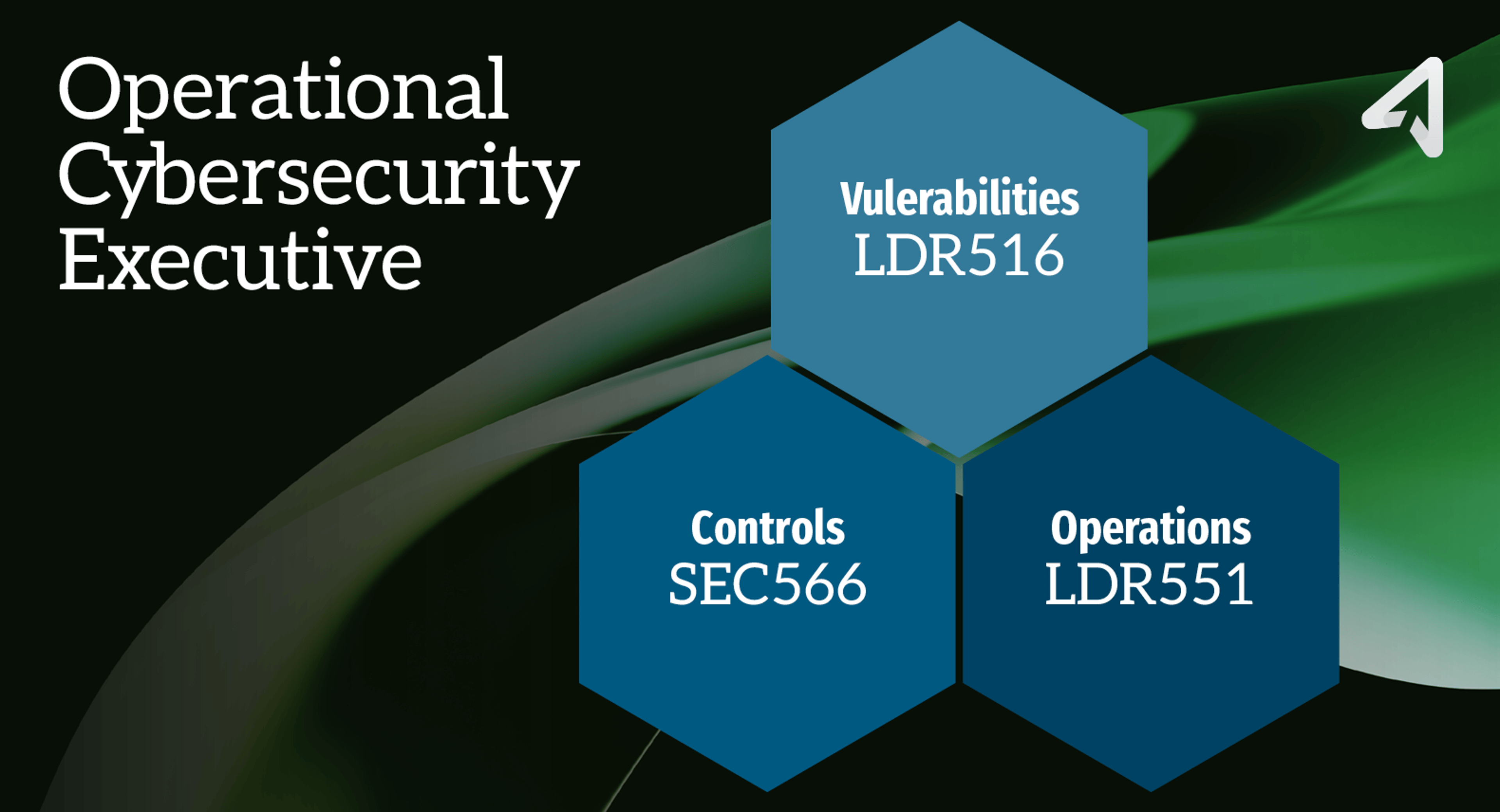 SANS Leadership Triads in Practice: The Operational Cybersecurity Executive