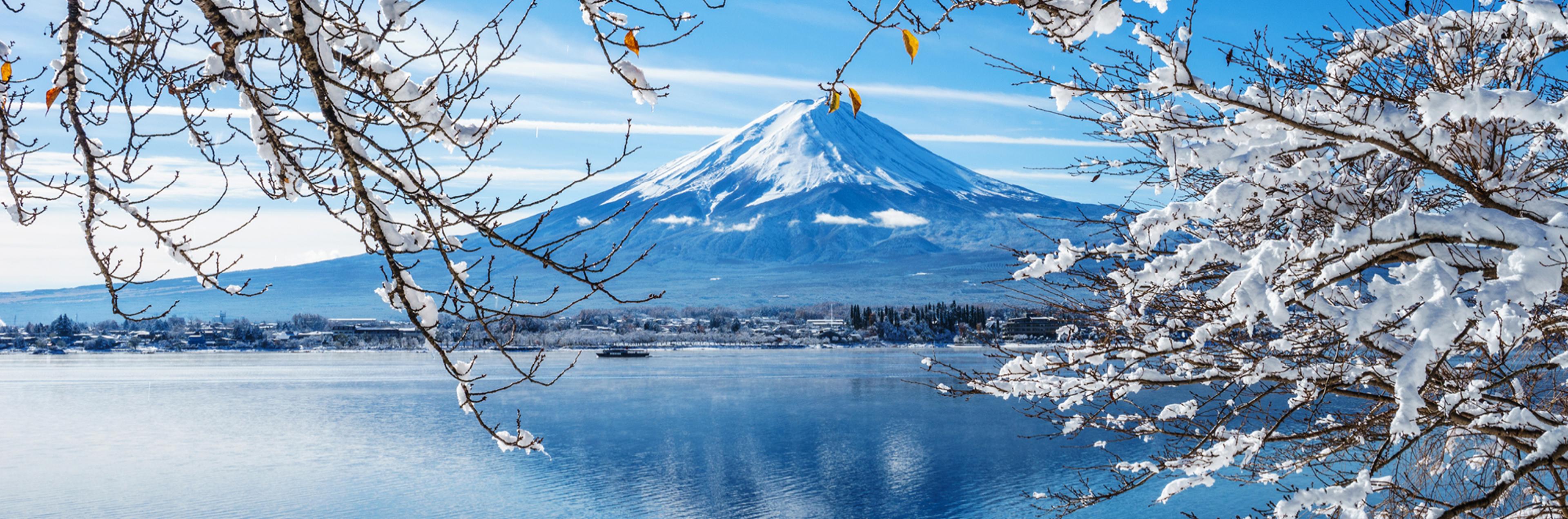 Tokyo, Mount Fuji in Winter