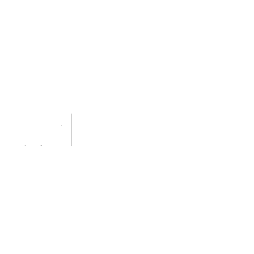 Palo Alto