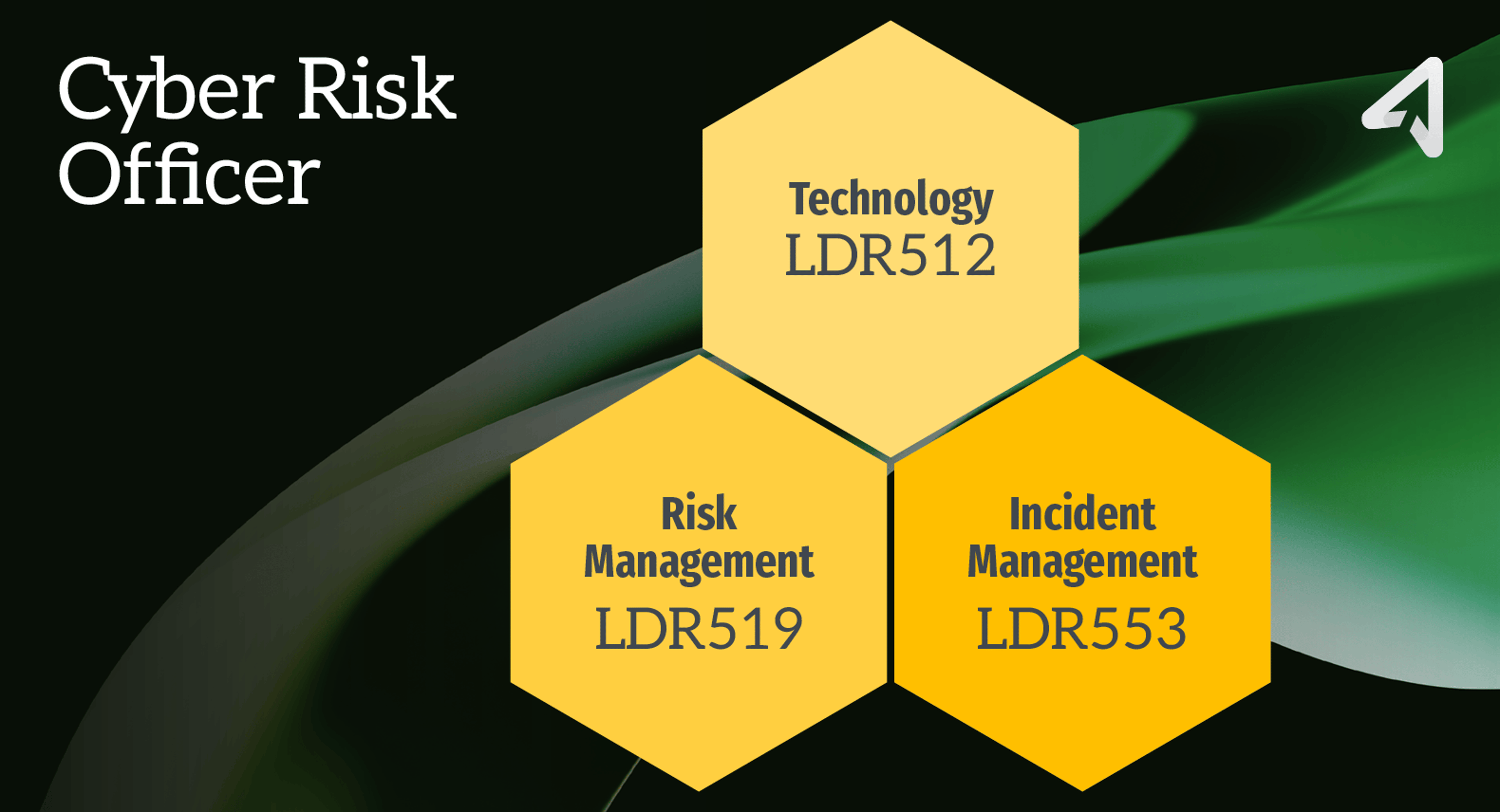 SANS Leadership Triads in Practice: The Cyber Risk Officer