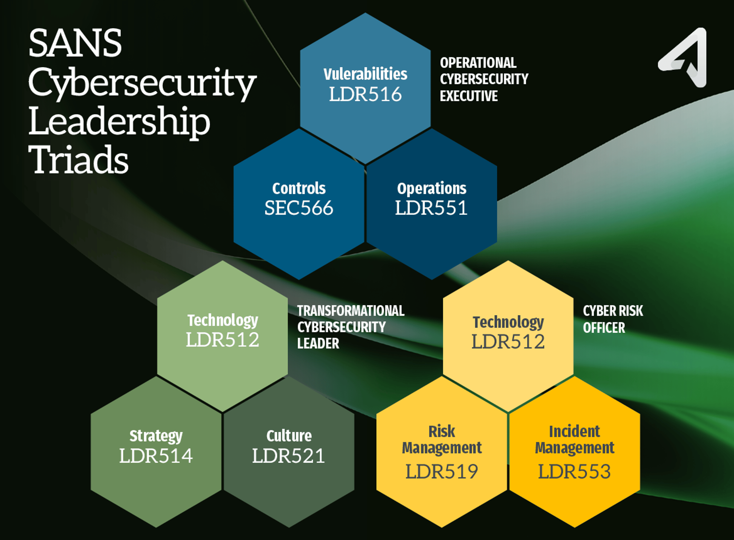 Chief Information Security Officer Training: All Three Triads