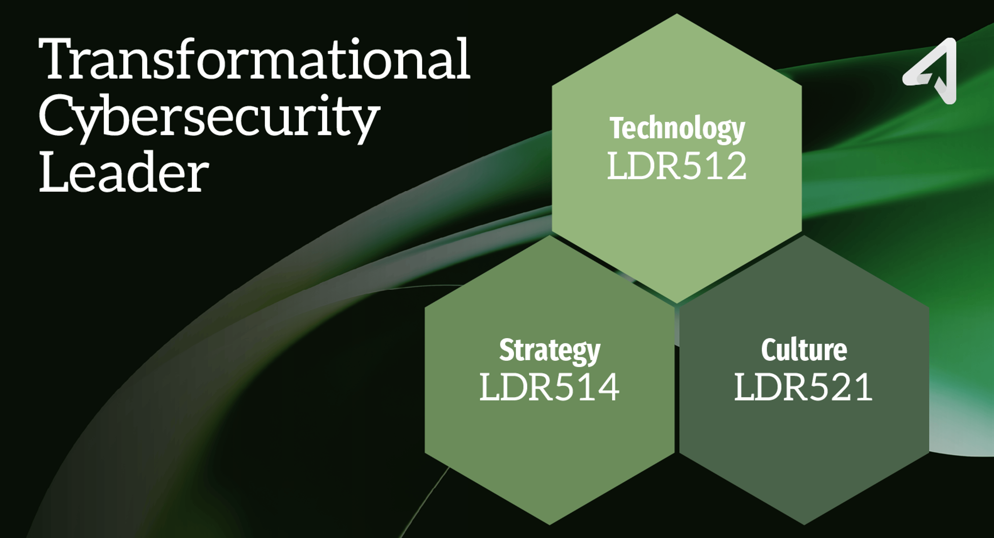 SANS Leadership Triads in Practice: The Transformational Cybersecurity Leader: 1