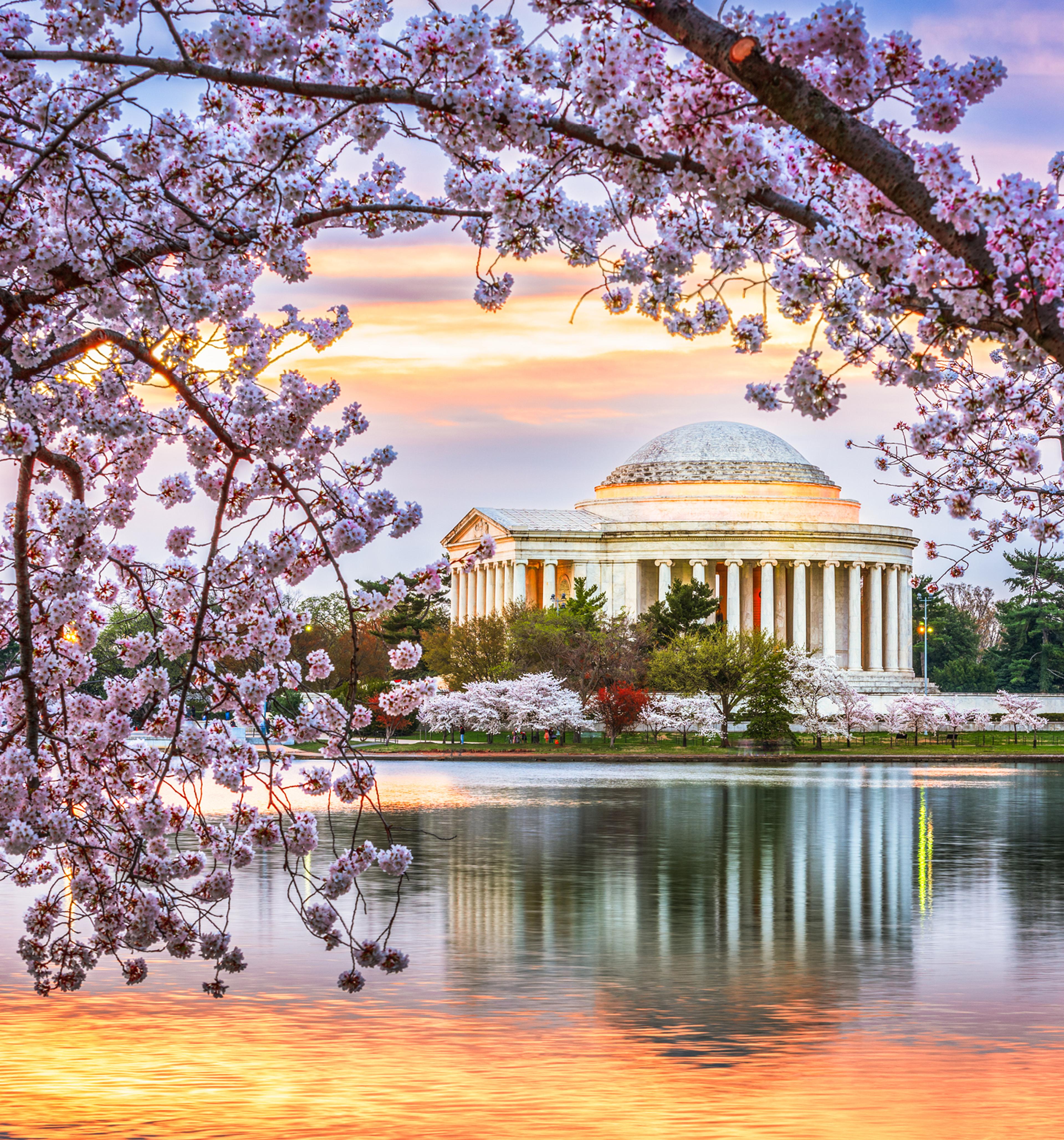 Jefferson Memorial, Washington D.C.