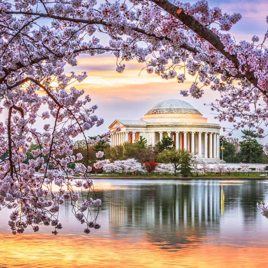Washington, DC, Lake and Pink Trees
