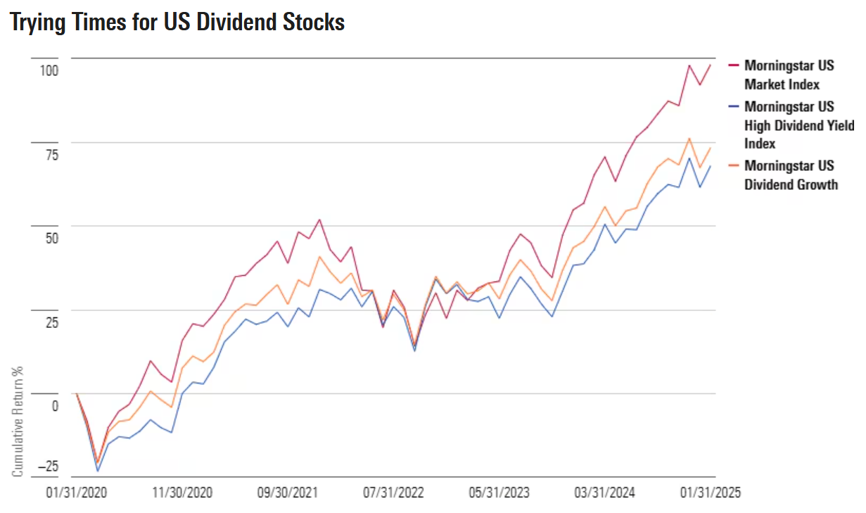 exhibit 1 why international dividend stocks.png