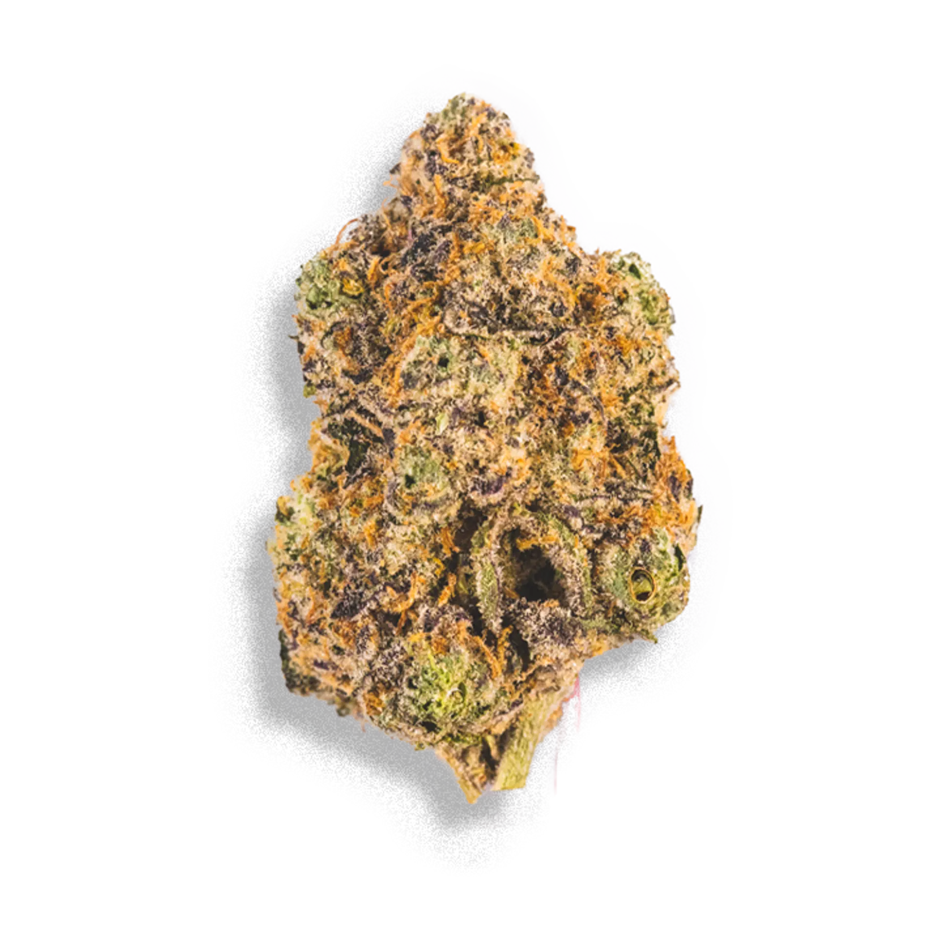 Gary 1oz