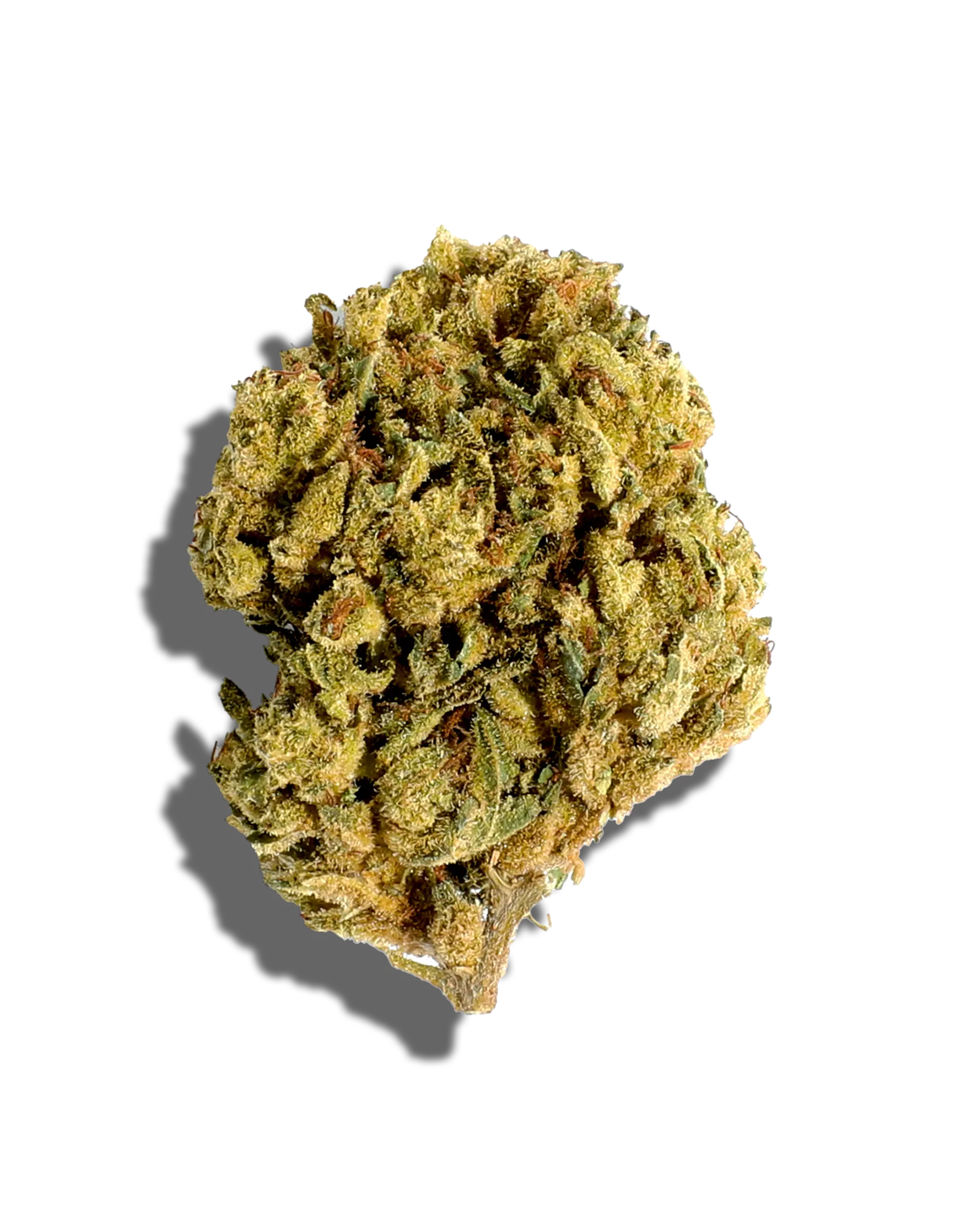 Sungrown GG3 1oz