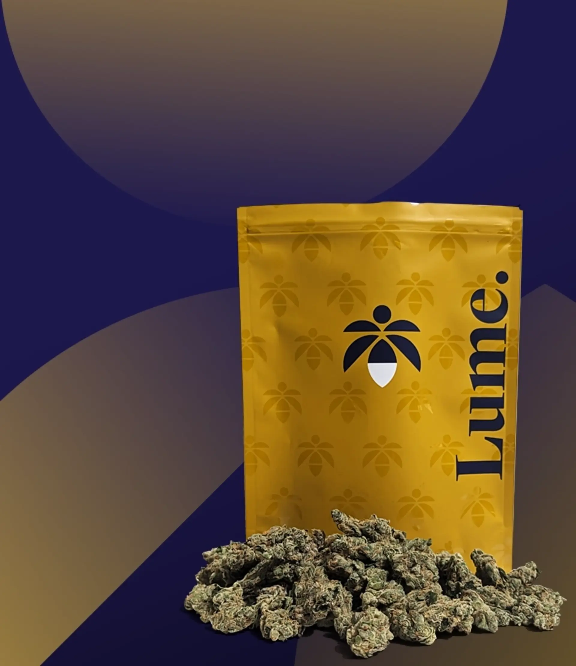 Blue Skunk Shatter 1g  Lume Cannabis Co. - Michigan's Largest Cannabis  Company