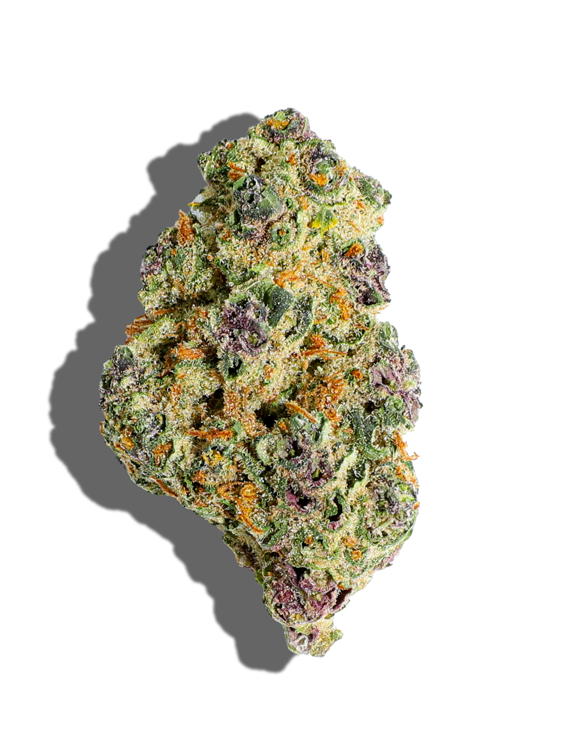 Forbidden Sin Flower