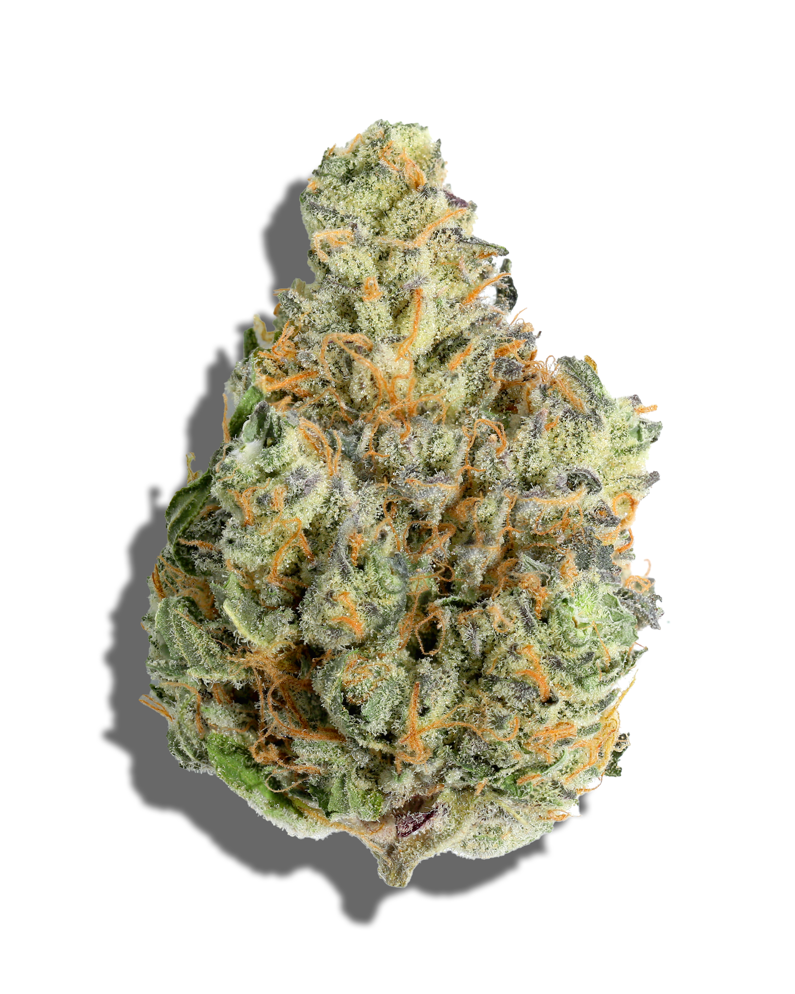 Zlurpee 1oz, 1 of 3