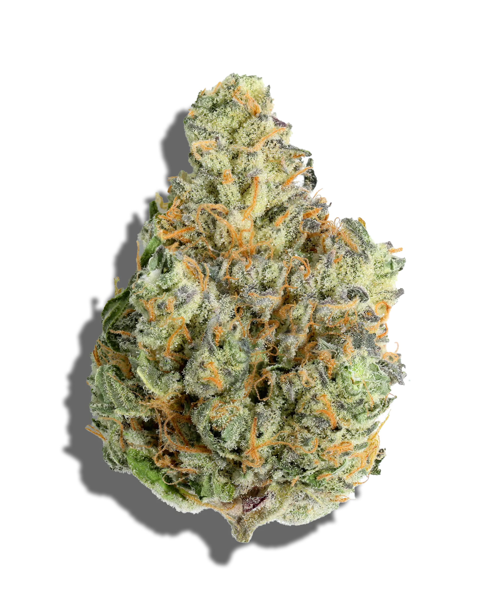 Zlurpee 1oz