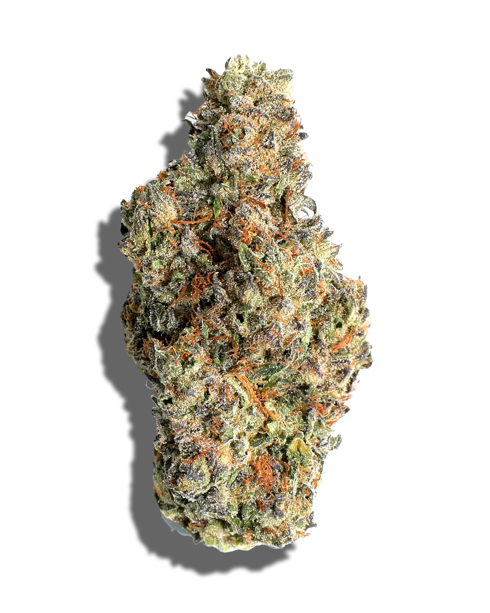 Apple Fritter 3.5g