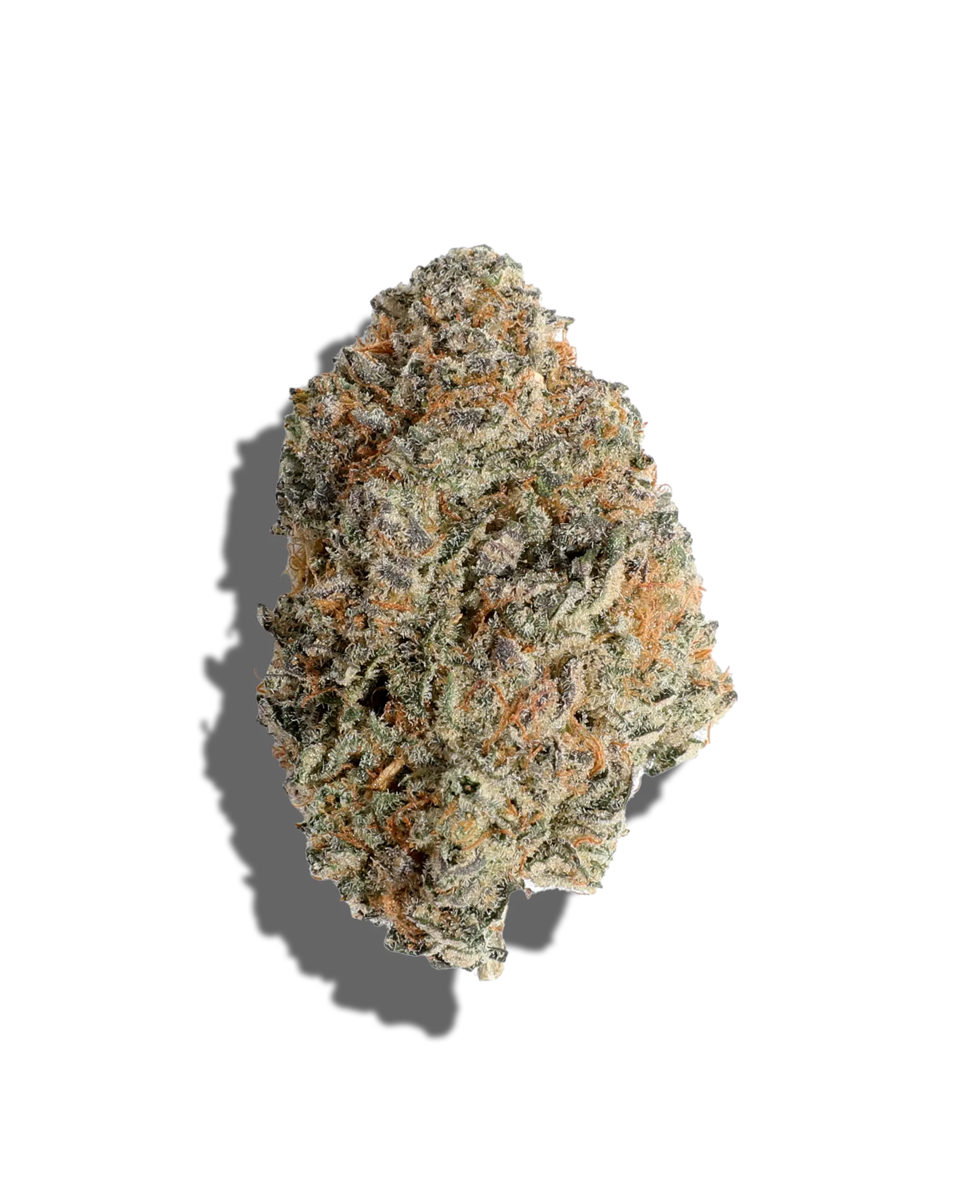 Hindu Z 3.5g