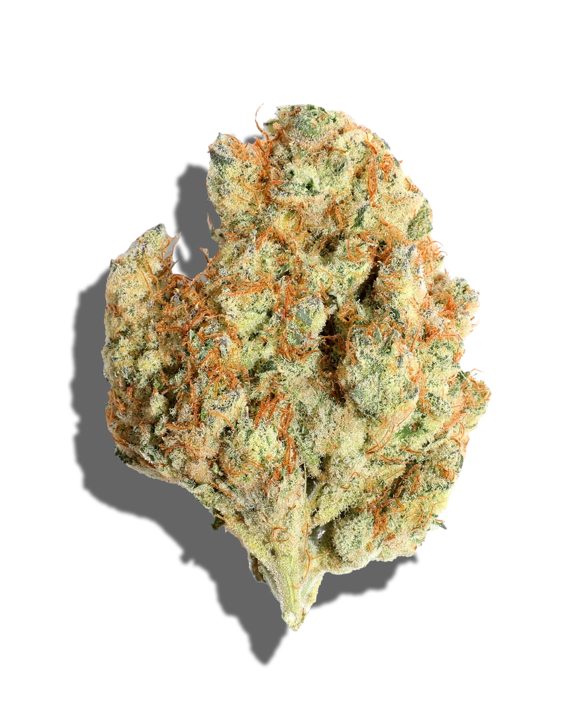 Lemon Darts 1oz