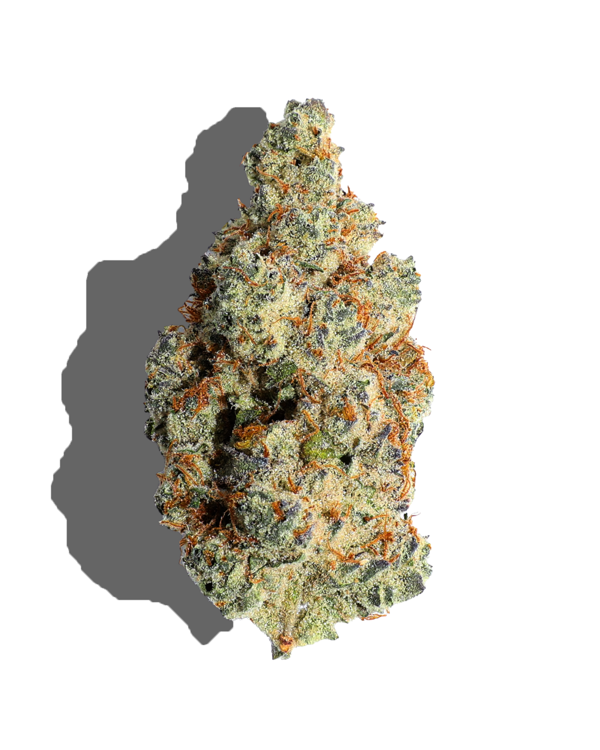 Babe On Fire Flower
