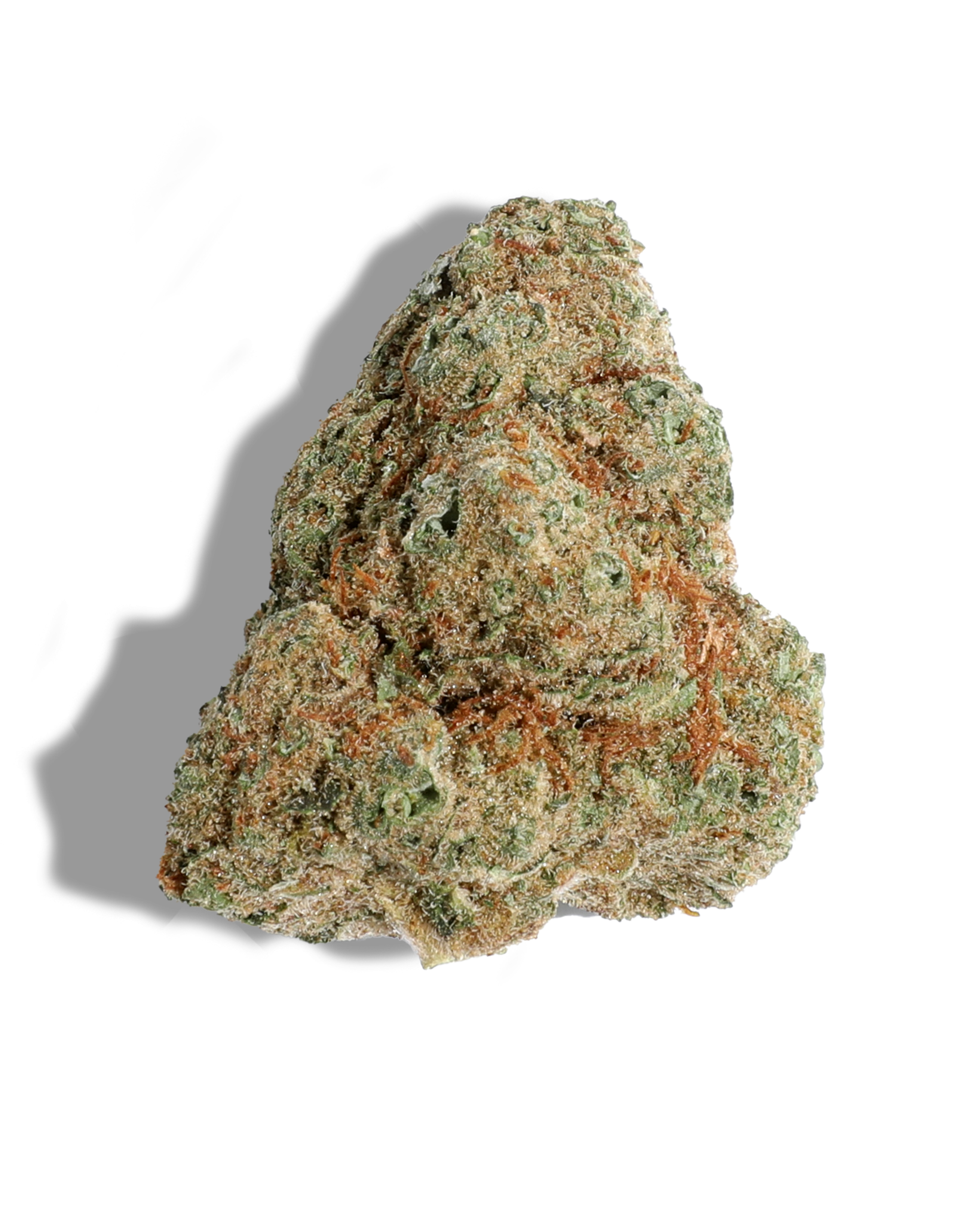 Russian Snow Flower