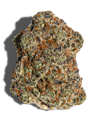 uncle bruce sativa cannabis nug