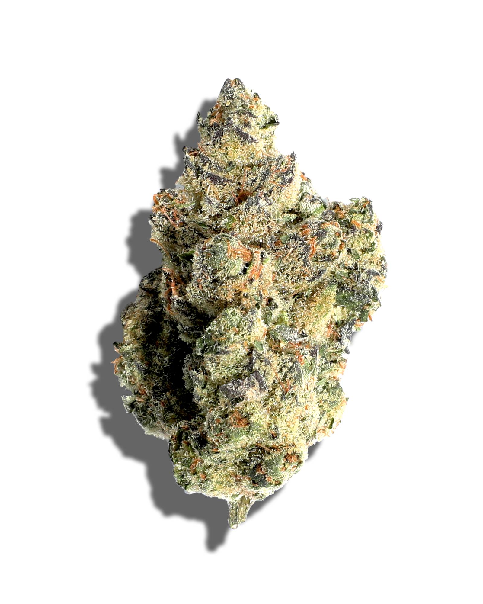 Dog Walker 3.5g, 1 of 3