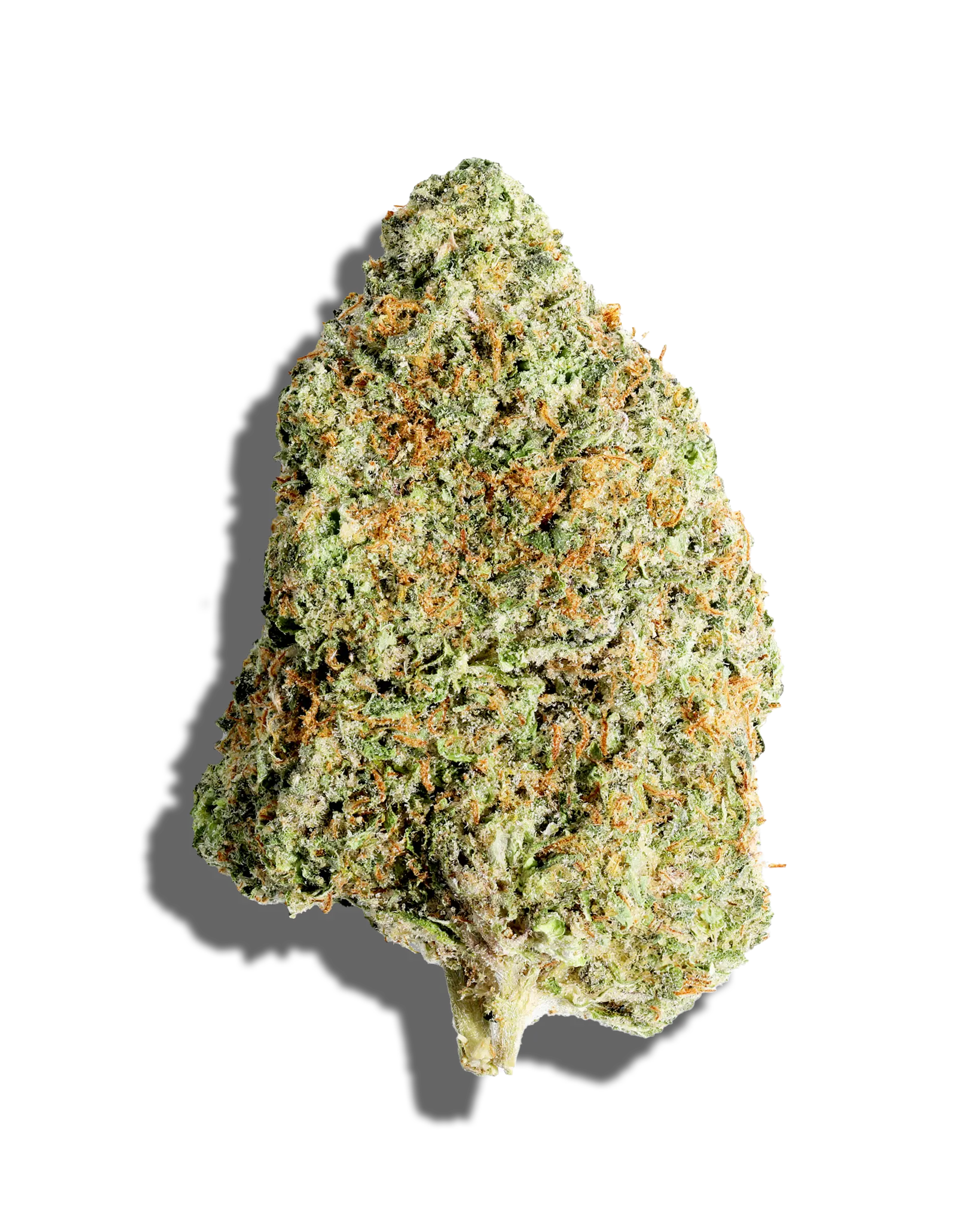 Gelato Cake 3.5g