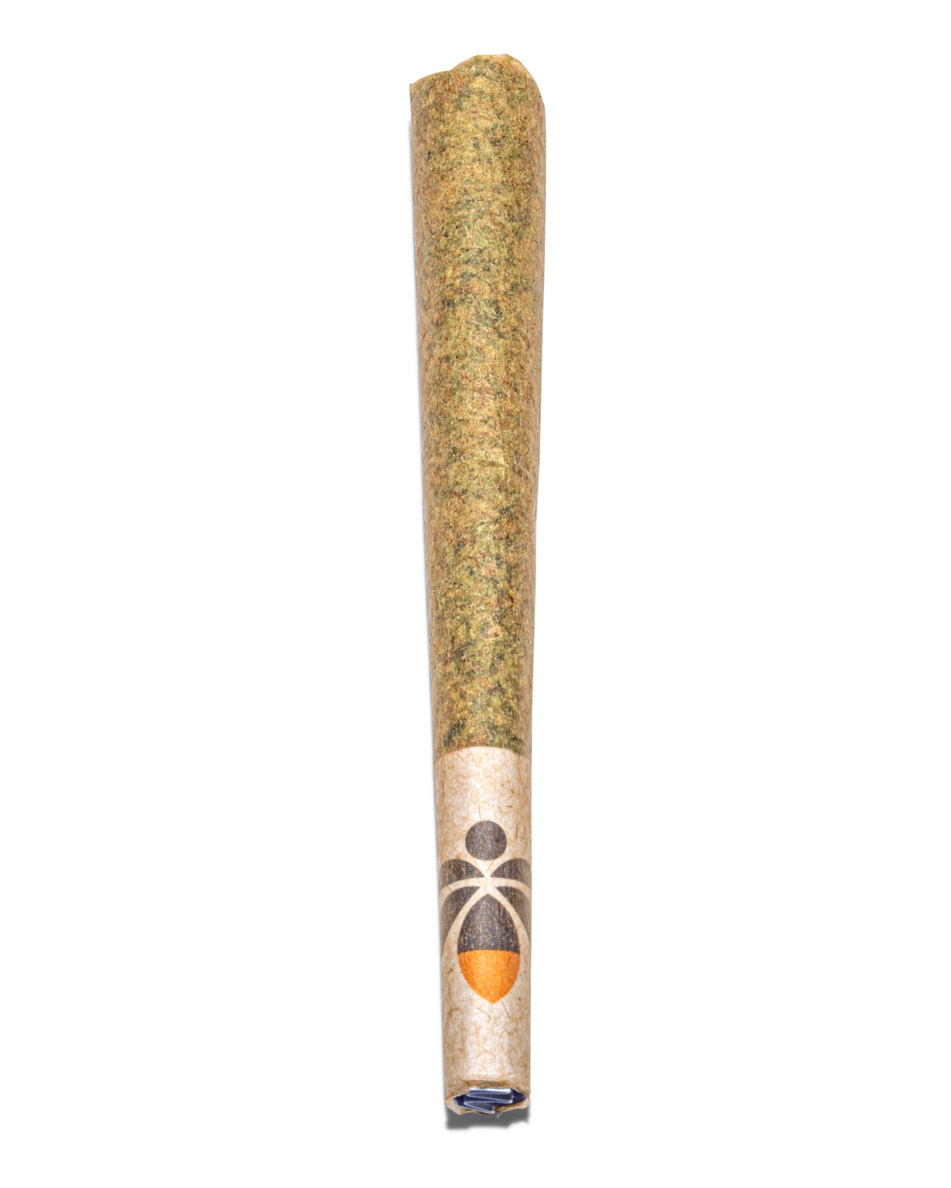 Motorbreath Preroll