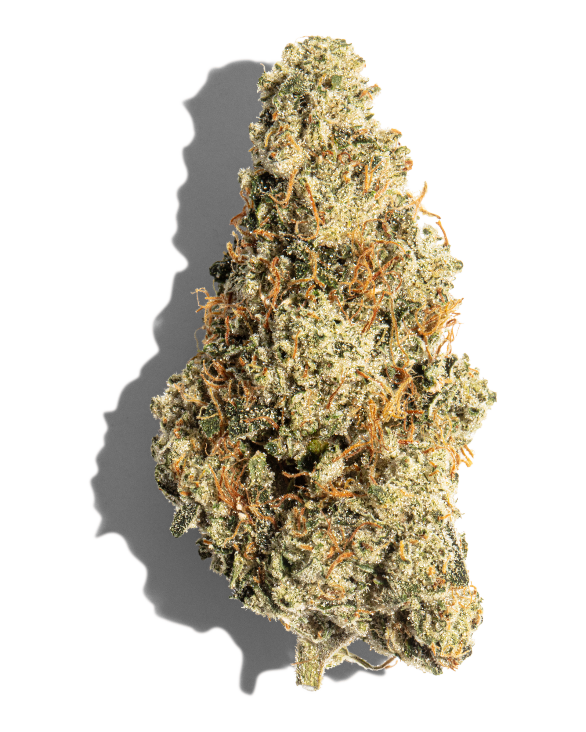 Alien OG Flower