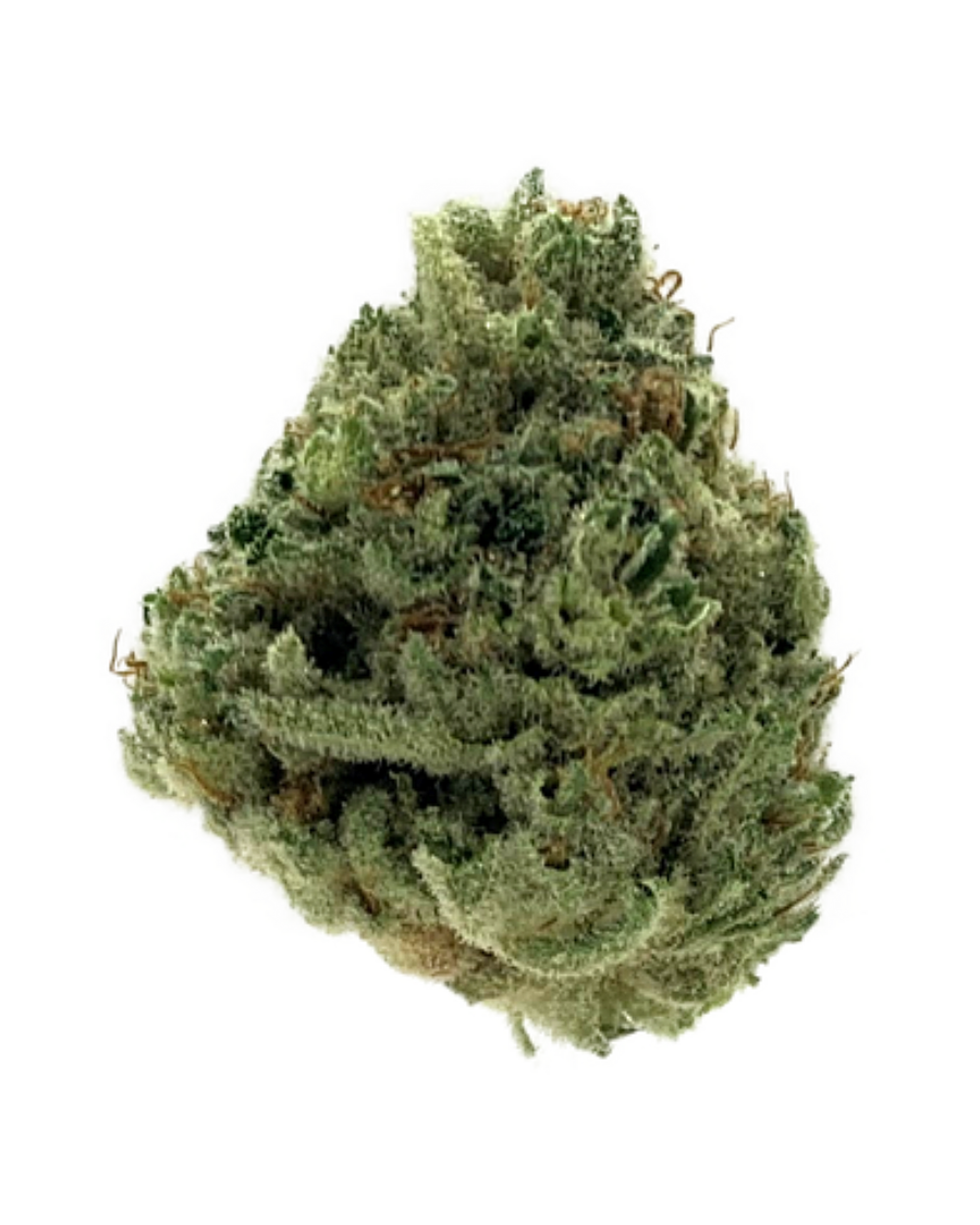 Strawberry Guava Flower