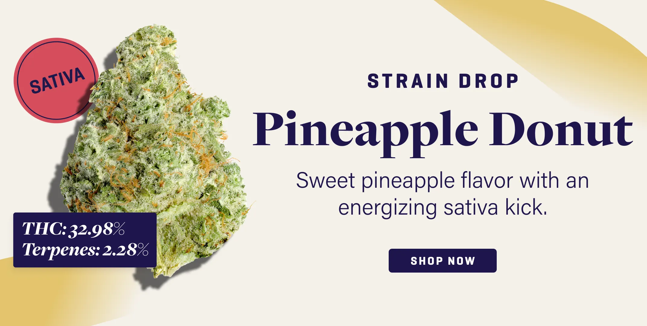 7-22-slimHeroMobile_PineappleDonut.webp
