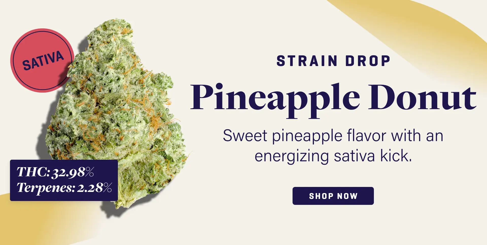 7-22-slimHeroMobile_PineappleDonut.webp