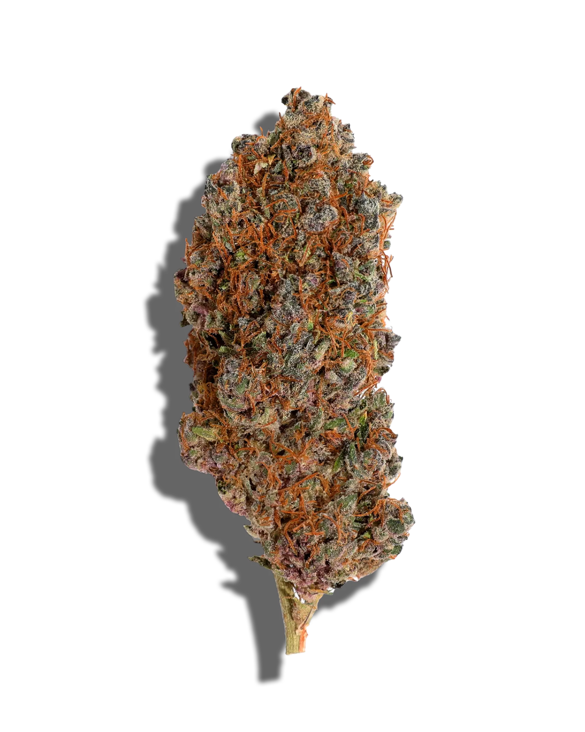 Bubble Gum 1oz
