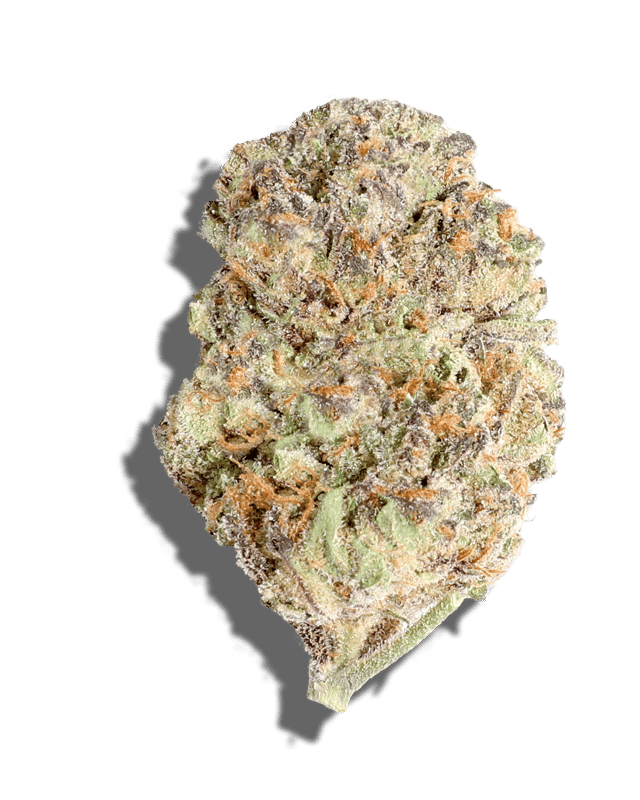 Kandi Diesel harvested flower, as labeled by the cited photo source