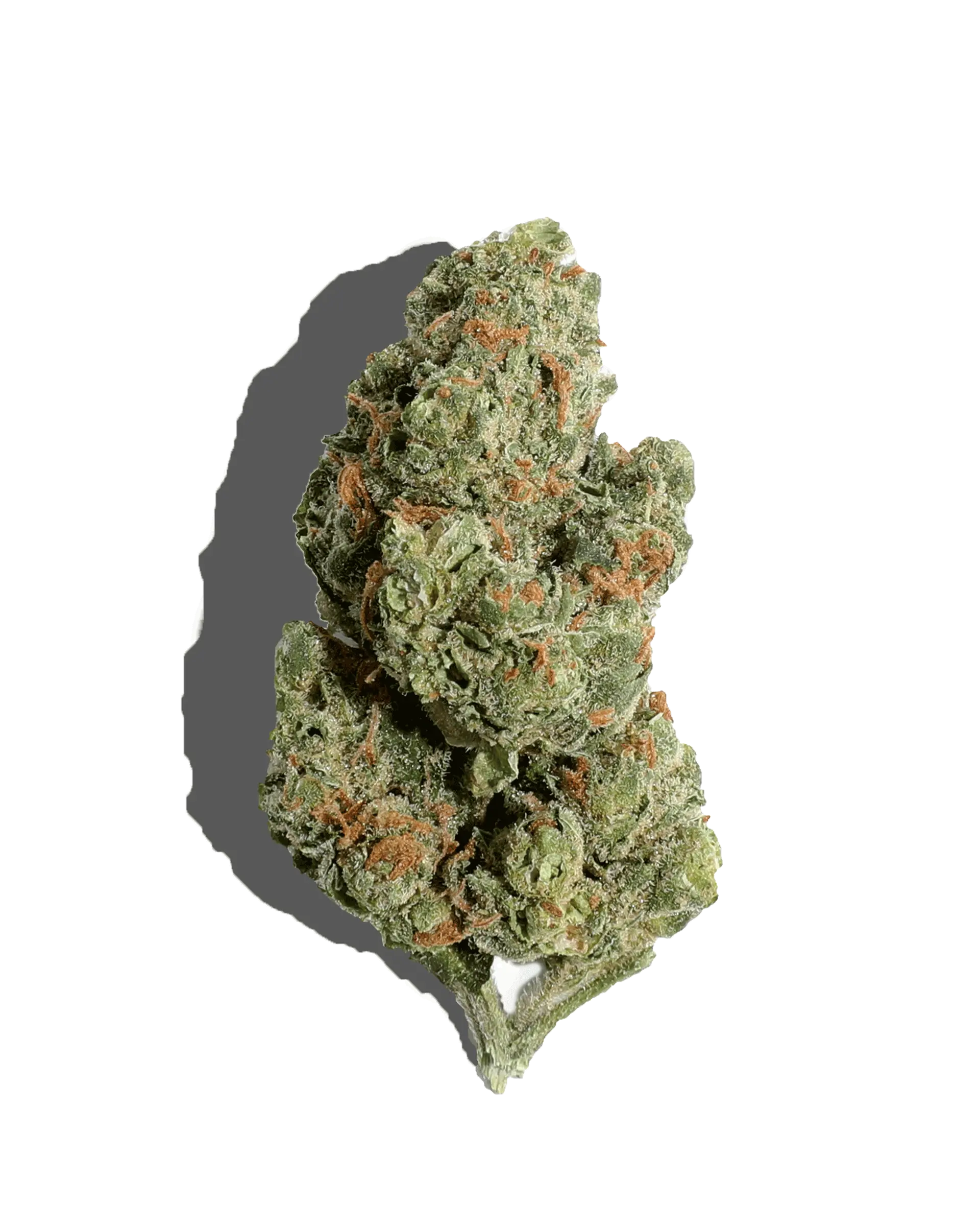 Howling Diablo 3.5g