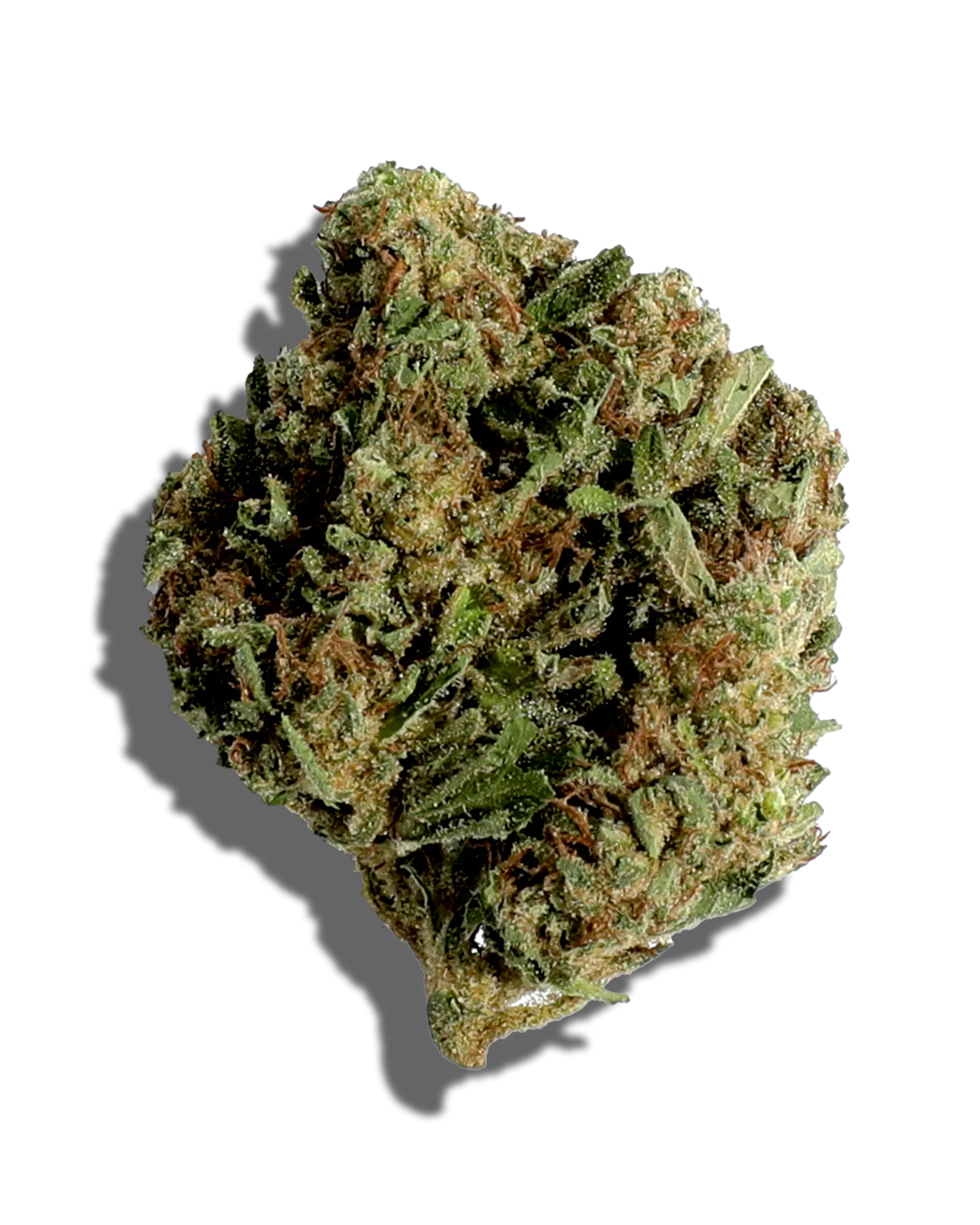 Sungrown Super Yuzu 3.5g
