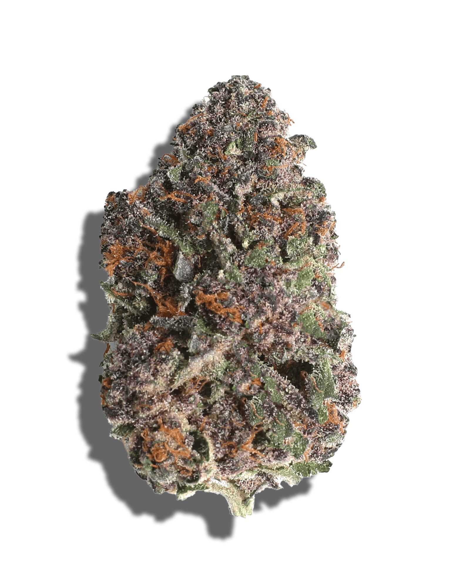 Gary Payton X Jealousy 3.5g