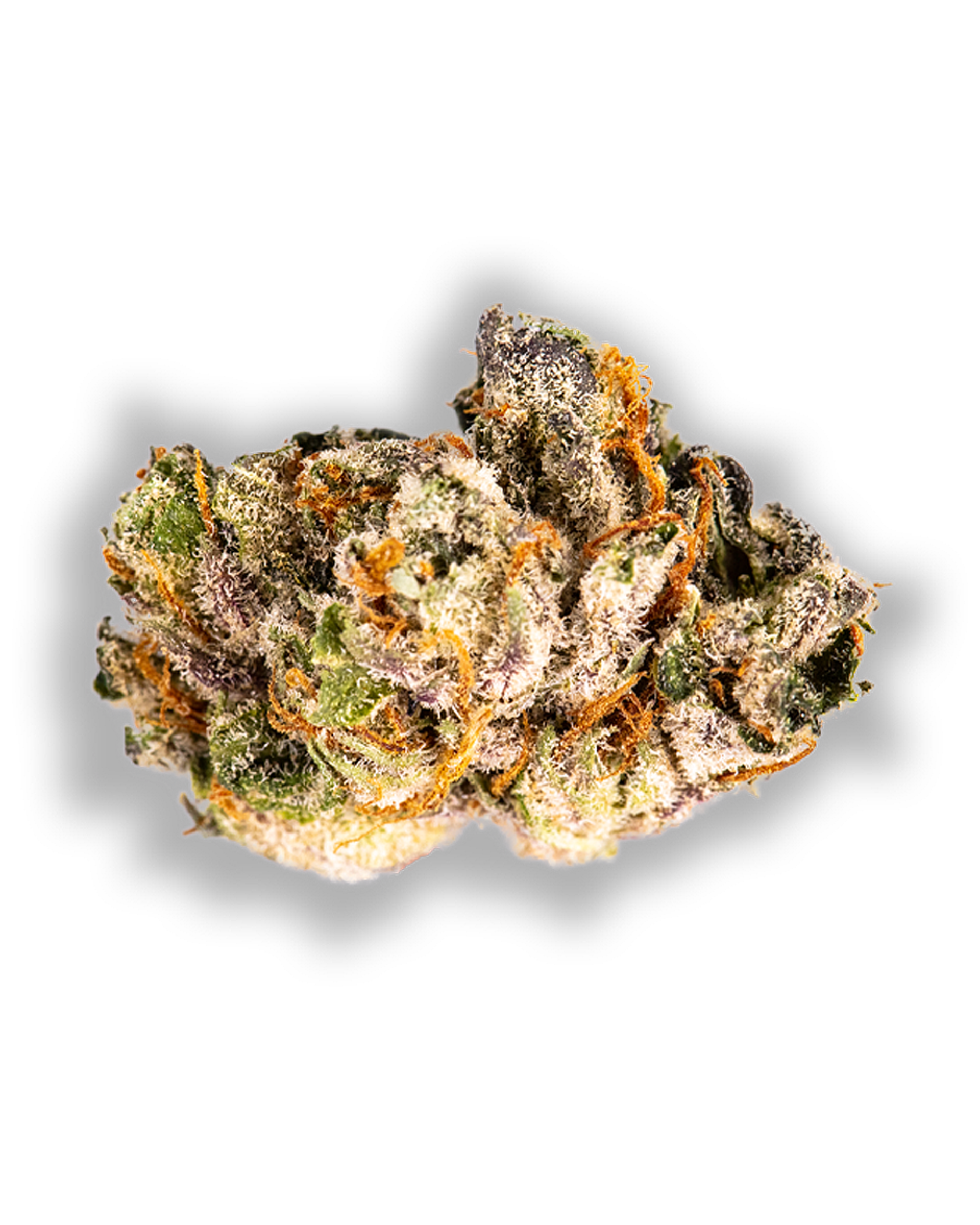 Tangie Flower