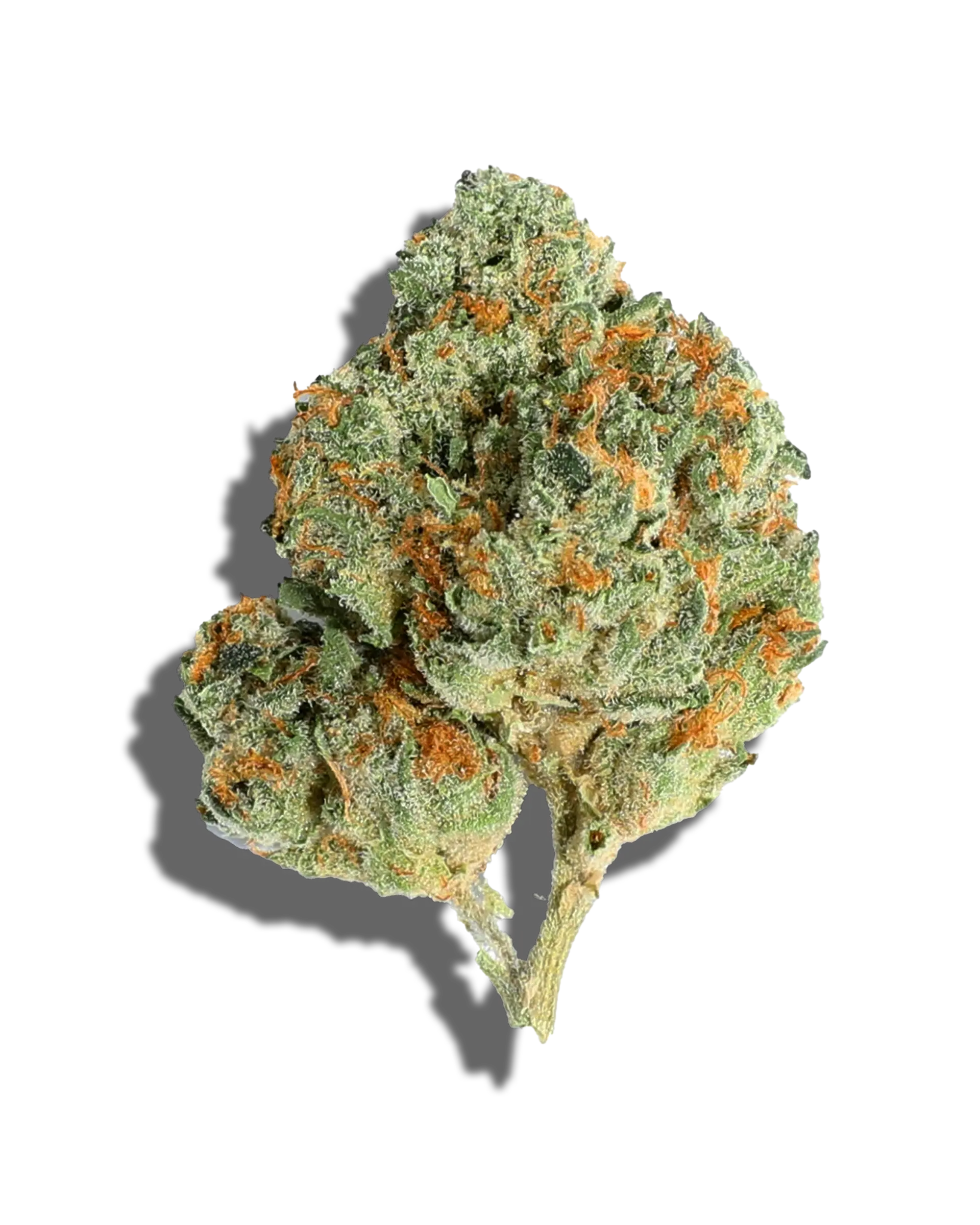 Gelato 25 1oz