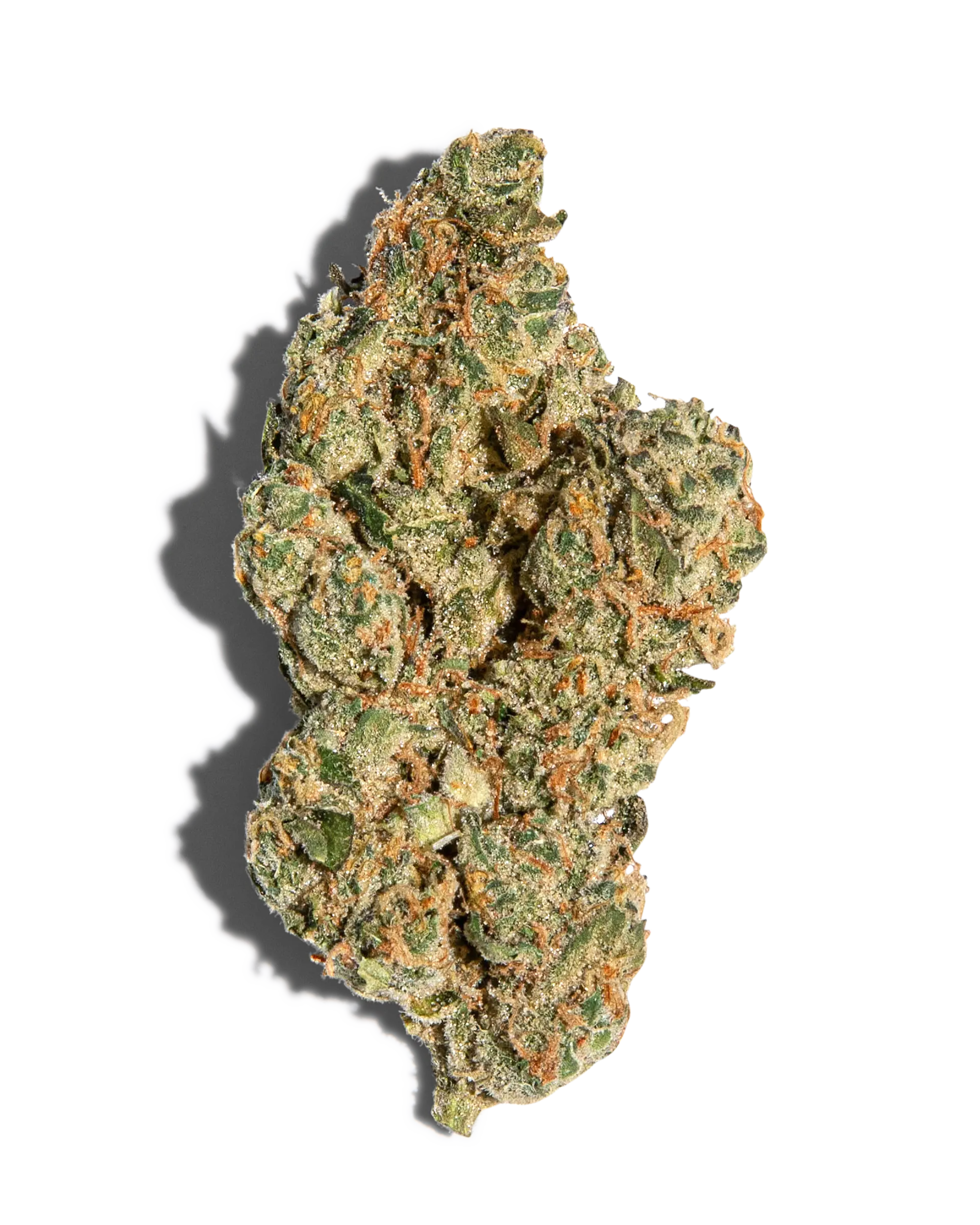 GMO Cookies Cultivator's Collection Flower